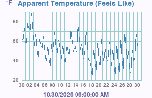 Wind Chill