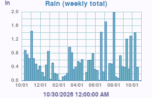 Rain